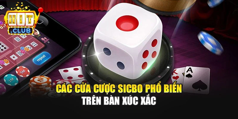 Các cửa cược Sicbo phổ biến trên bàn xúc xắc
